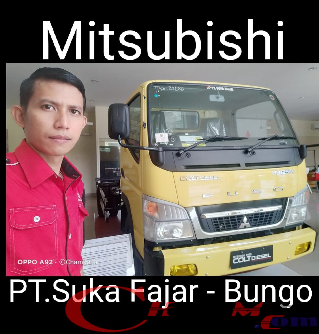 Read more about the article Dealer Mitsubishi Muara Bungo